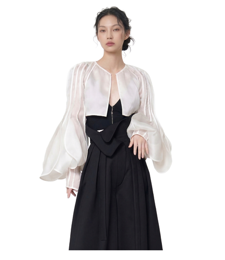 Sculptural Organza Sleeve Blouse / 4083101