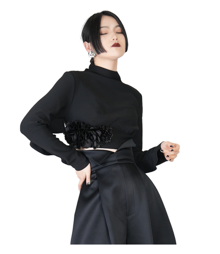 Rose Hem Mock-Neck Cropped Top / 4030702