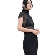 Sheer Mesh Turtleneck Flutter-Sleeve Top / 4042408