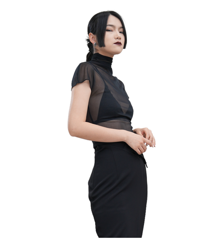 Sheer Mesh Turtleneck Flutter-Sleeve Top / 4042408