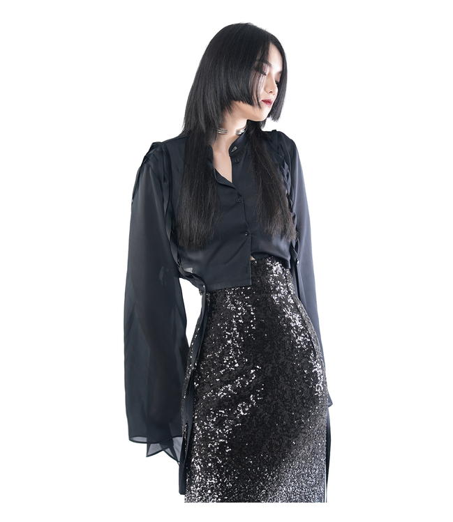 Sheer Chiffon Oversized Flare-Sleeve Blouse / 4071701