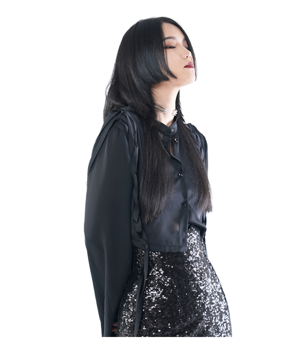 Sheer Chiffon Oversized Flare-Sleeve Blouse / 4071701