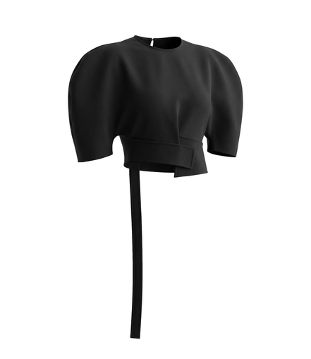 Bastion Puff-Shoulder Crop Top / 6040409