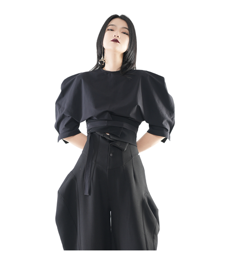 Bastion Puff-Shoulder Crop Top / 6040409