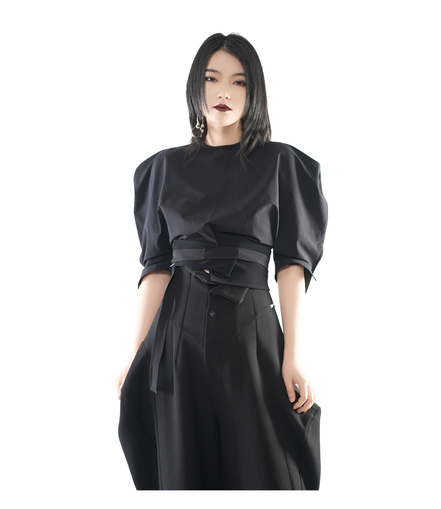Bastion Puff-Shoulder Crop Top / 6040409